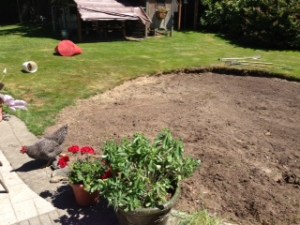 Droopy Doodle is wondering what the heck happened.