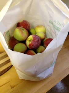 Bag of Apples